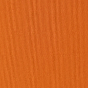 Canvas Orange