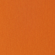 Canvas Orange