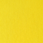 Canvas Yellow