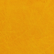 Classic Yellow