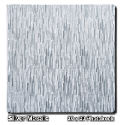 Silver Mosaic