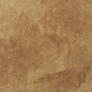 Eco Camel