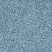 Elephant Blue