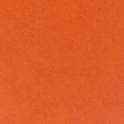 Orange Skin