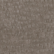 Ostrich Beige