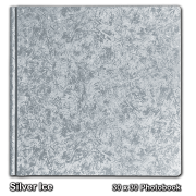 Silver Ice