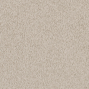 Stucco Beige