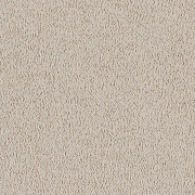 Stucco Beige