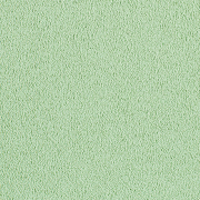 Stucco Light Green