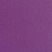 Violet Skin